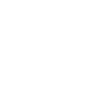 Pet Emergency Care Icon
