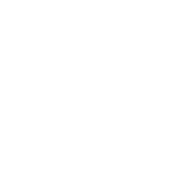 Pet Microchipping Icon