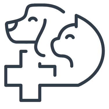 Pet Surgery Icon