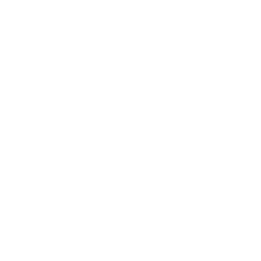 Pet Ultrasound Icon