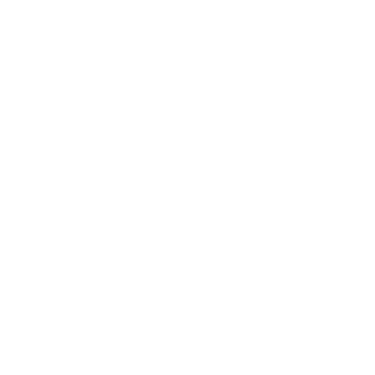 Pet Wellness Icon