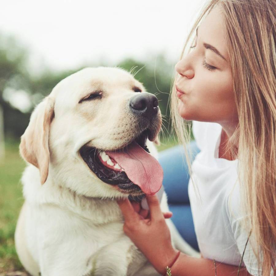 dog smiling with girl