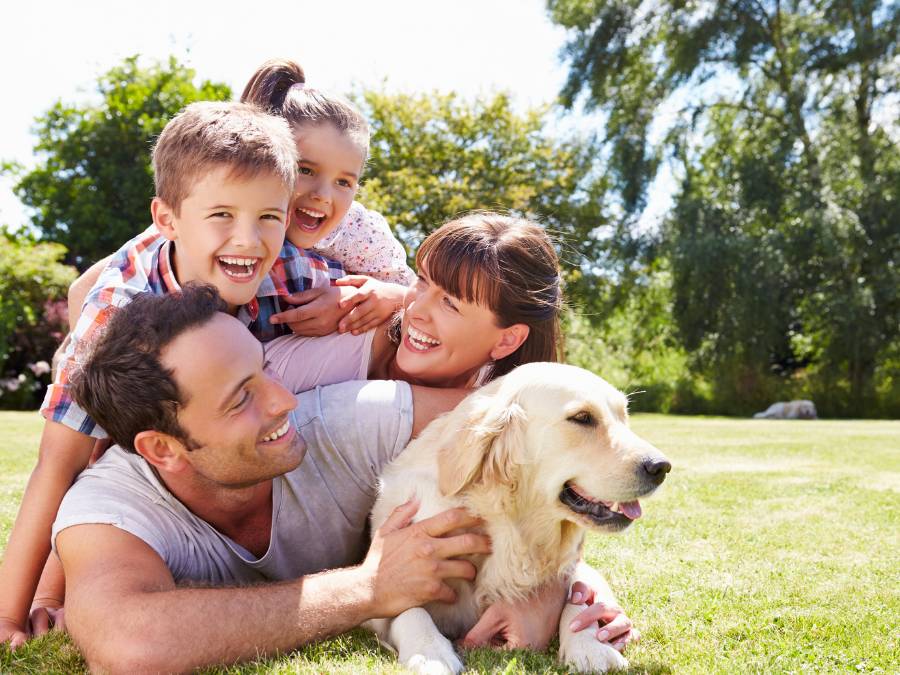 pet with family outside