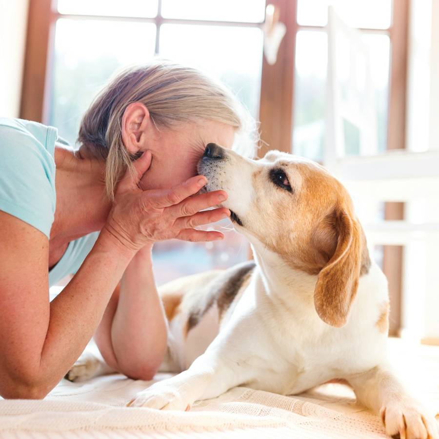 women playing with pet
