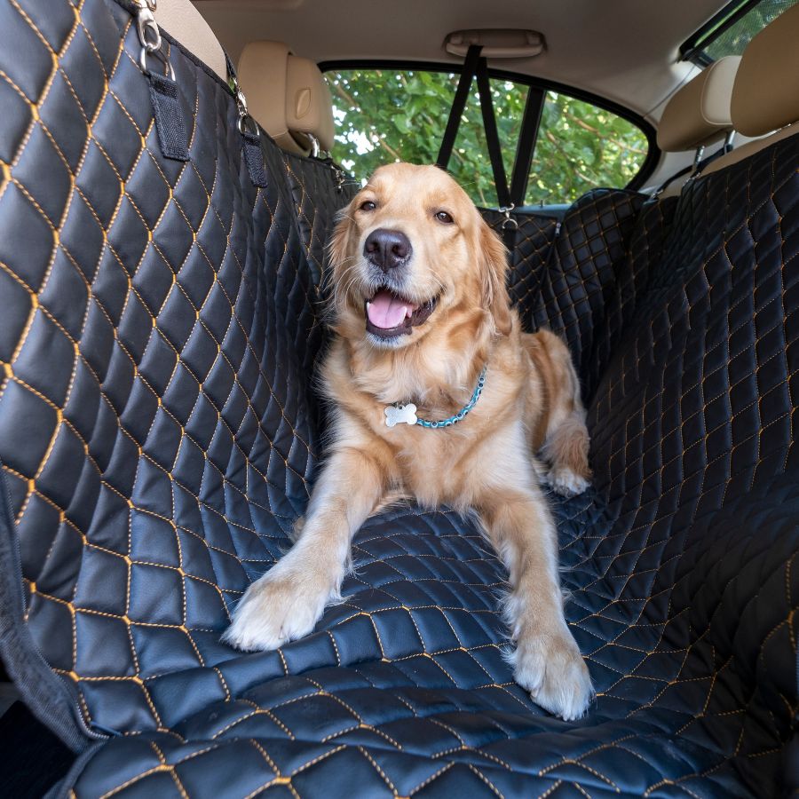 Golden Retriever sitting happily on a quilted car seat cover.