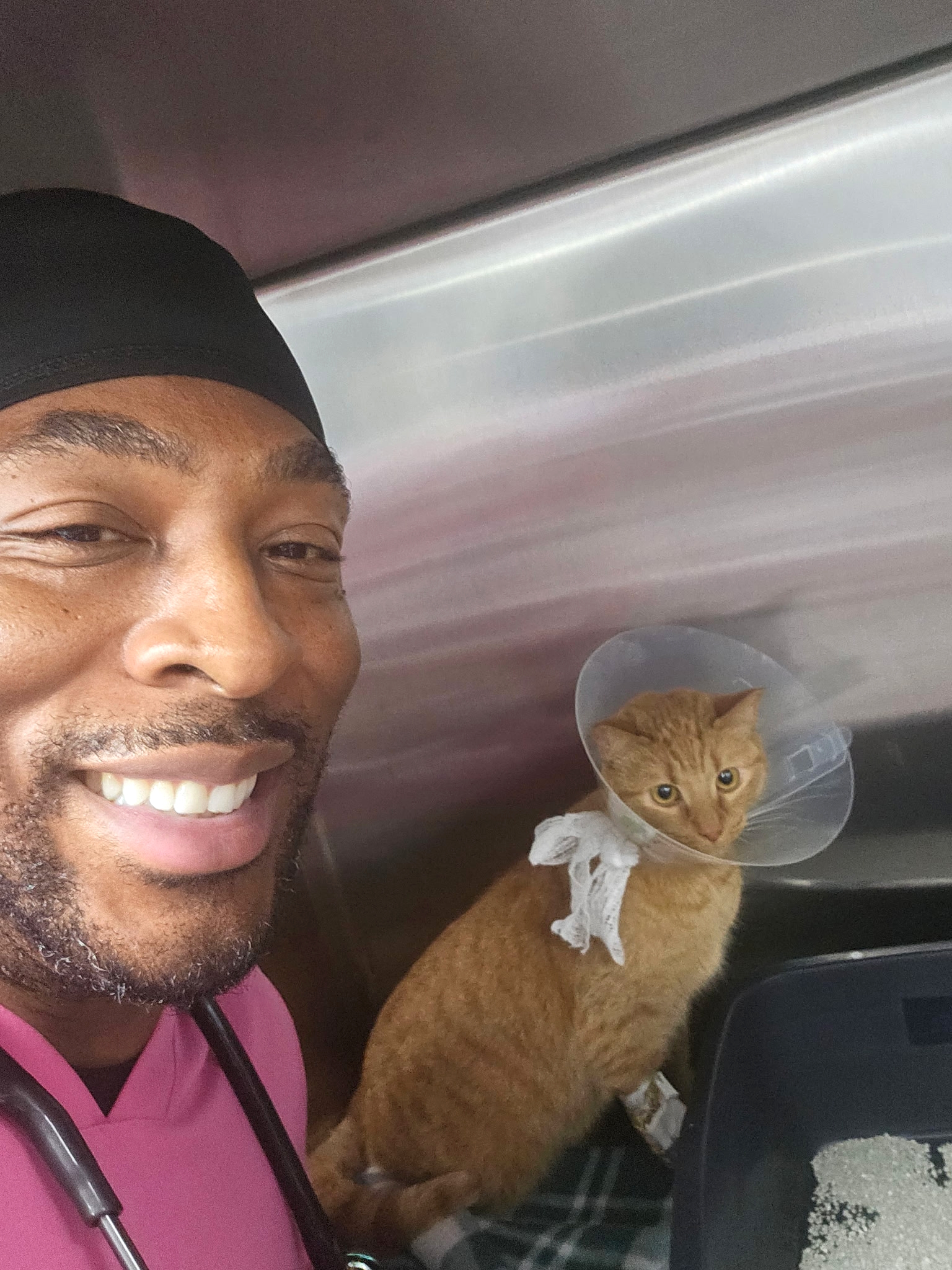 vet with a cat wearing surgery collar
