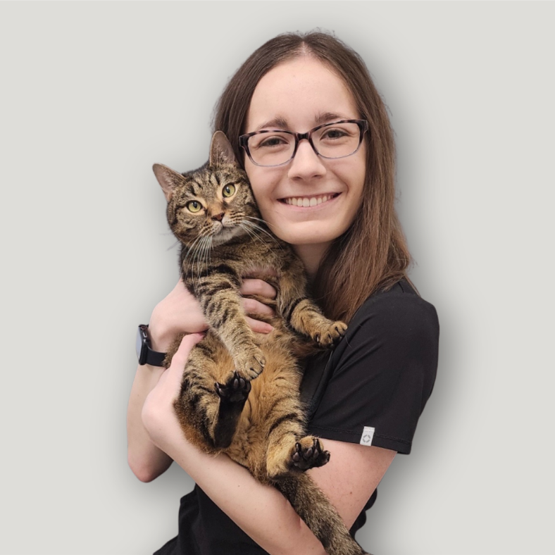 Dr. Kristin Miller, DVM and veterinarian at WAG Vet