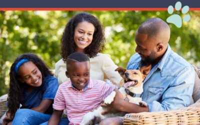 Memorial Day Pet Safety Tips for Columbia Pet Parents